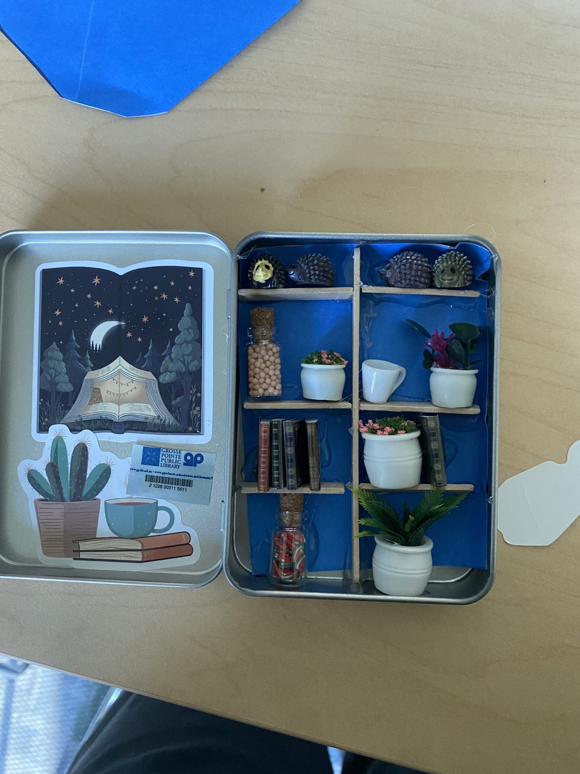 Tiny Library Craft